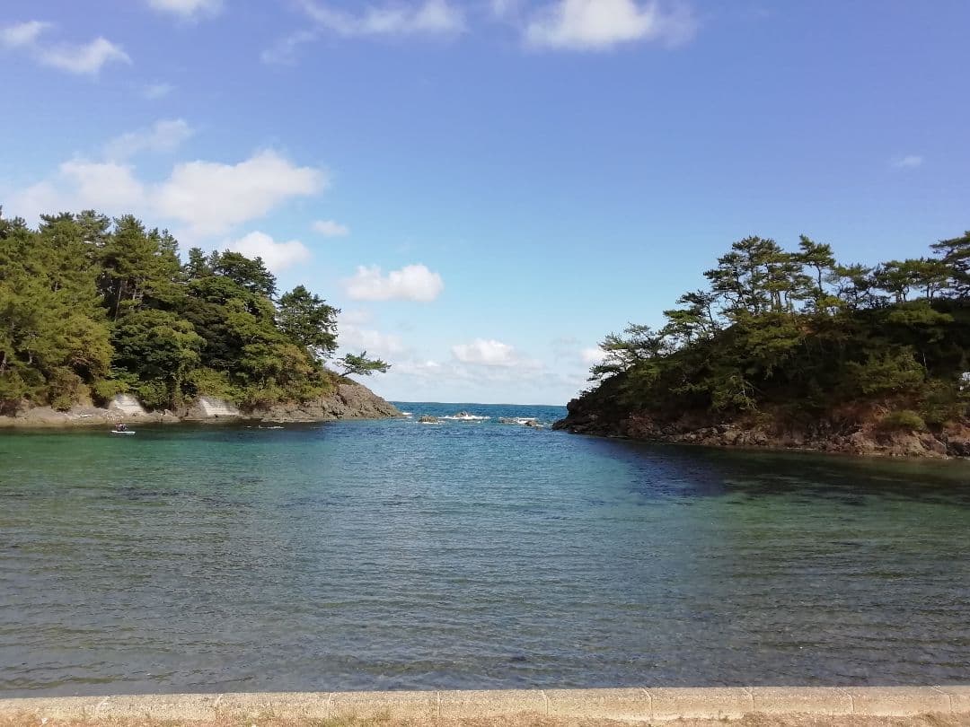 mar_aco様　シルマレジン3リットル