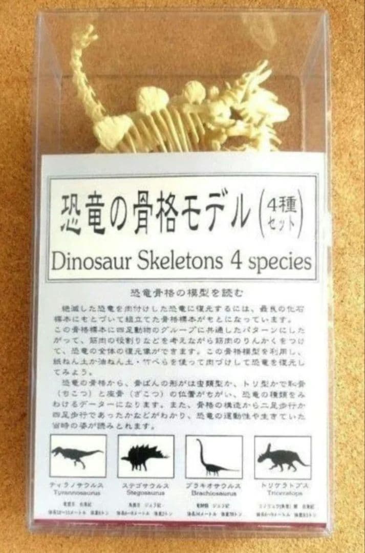 恐竜☆骨格モデル 4種セット コレクション フィギュア おもちゃ キッズ 博物館
