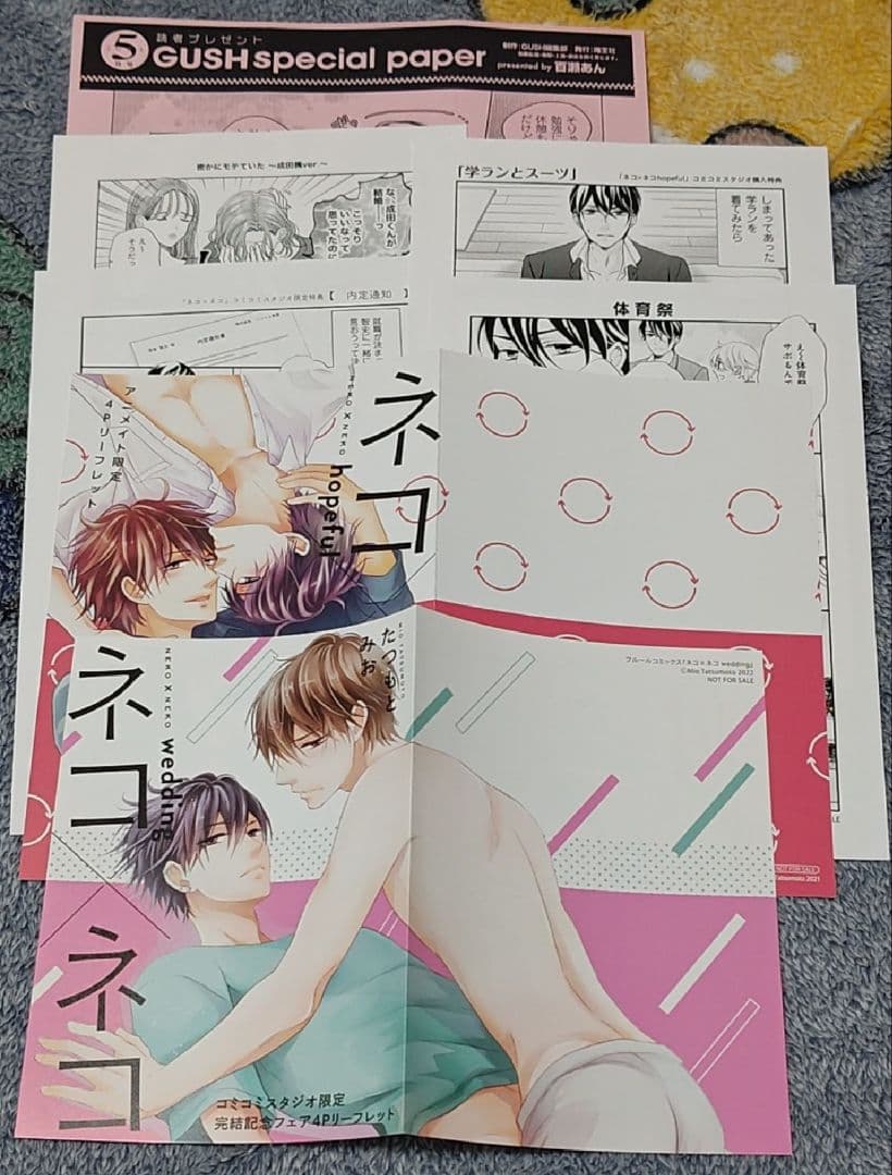 たまらないのは恋なのか　平野と鍵浦　世界一初恋　中村春菊　春園しょう　空華みあ他