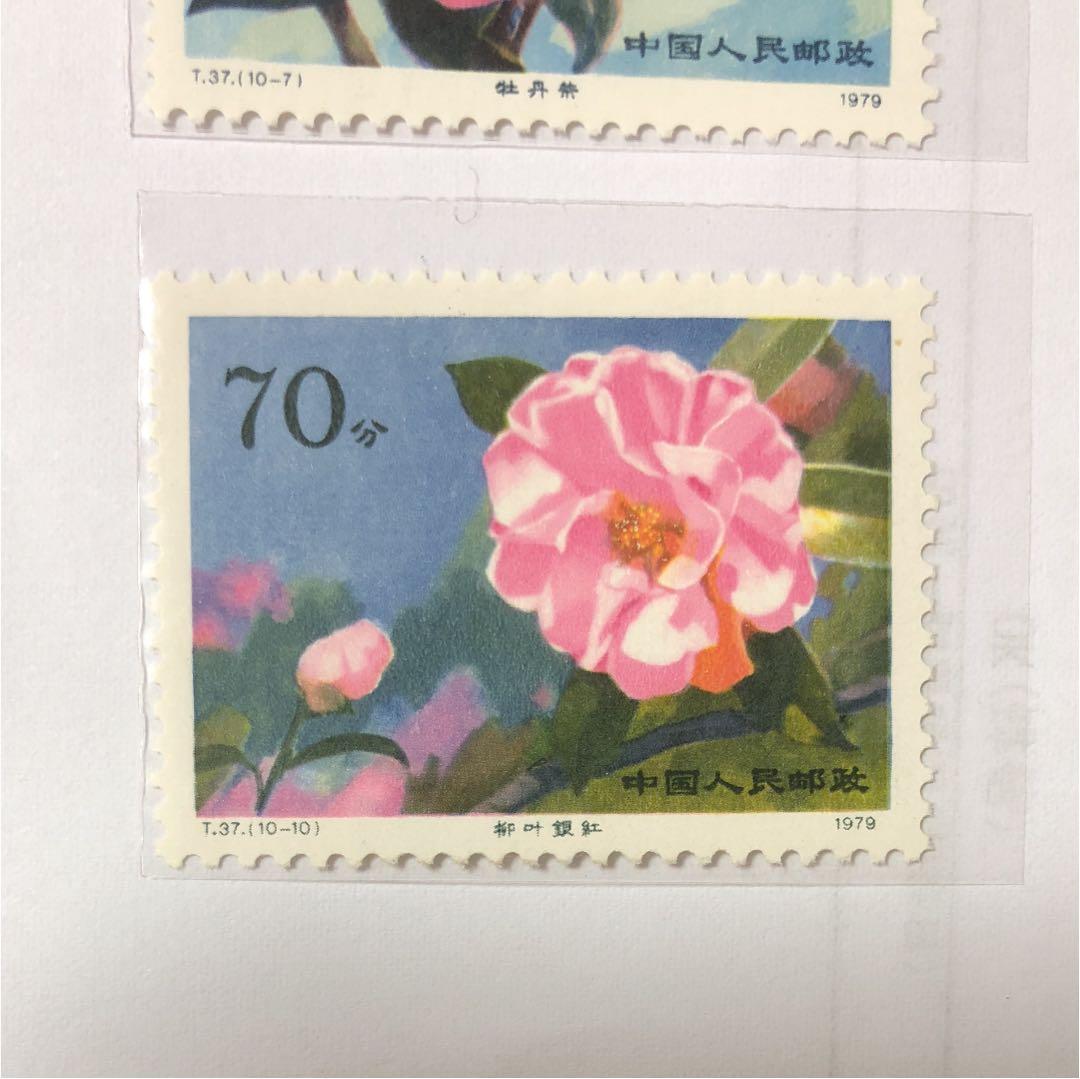 新春セール 中華人民共和国切手 山茶花 1979年 美品