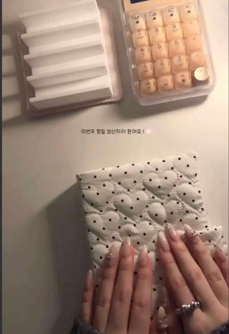 1点のみ 韓国 A6バインダー 現金 貯金 リフィル