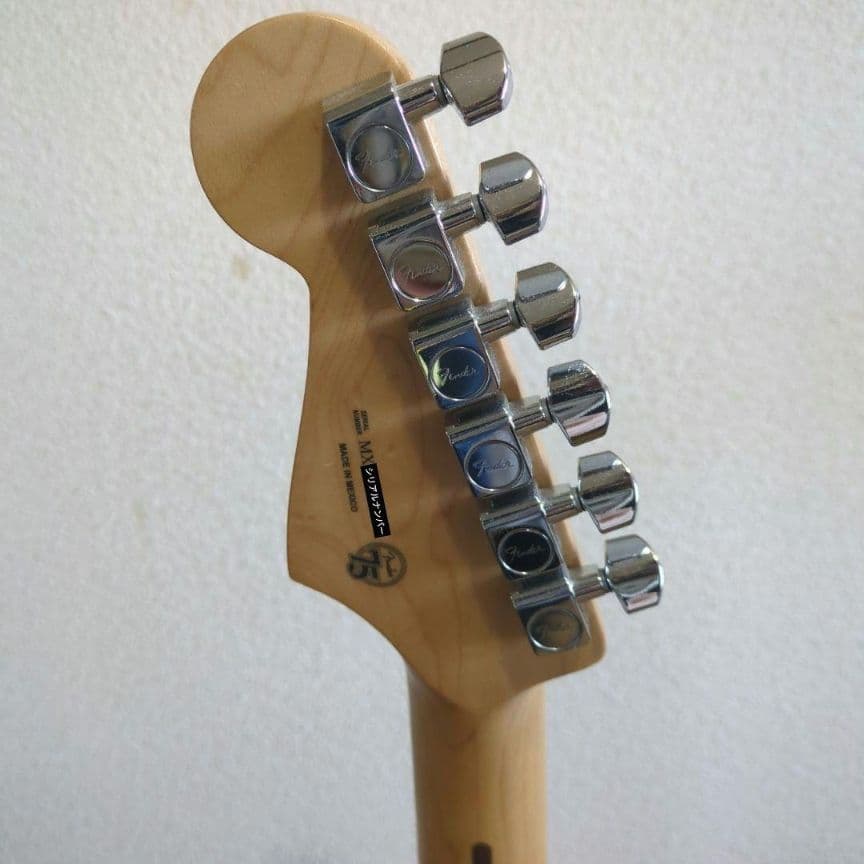 Fender ストラトキャスター 純正ソフトケース付