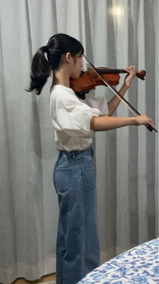 断捨離✴︎初めての人のヴァイオリン⭐︎フルサイズ