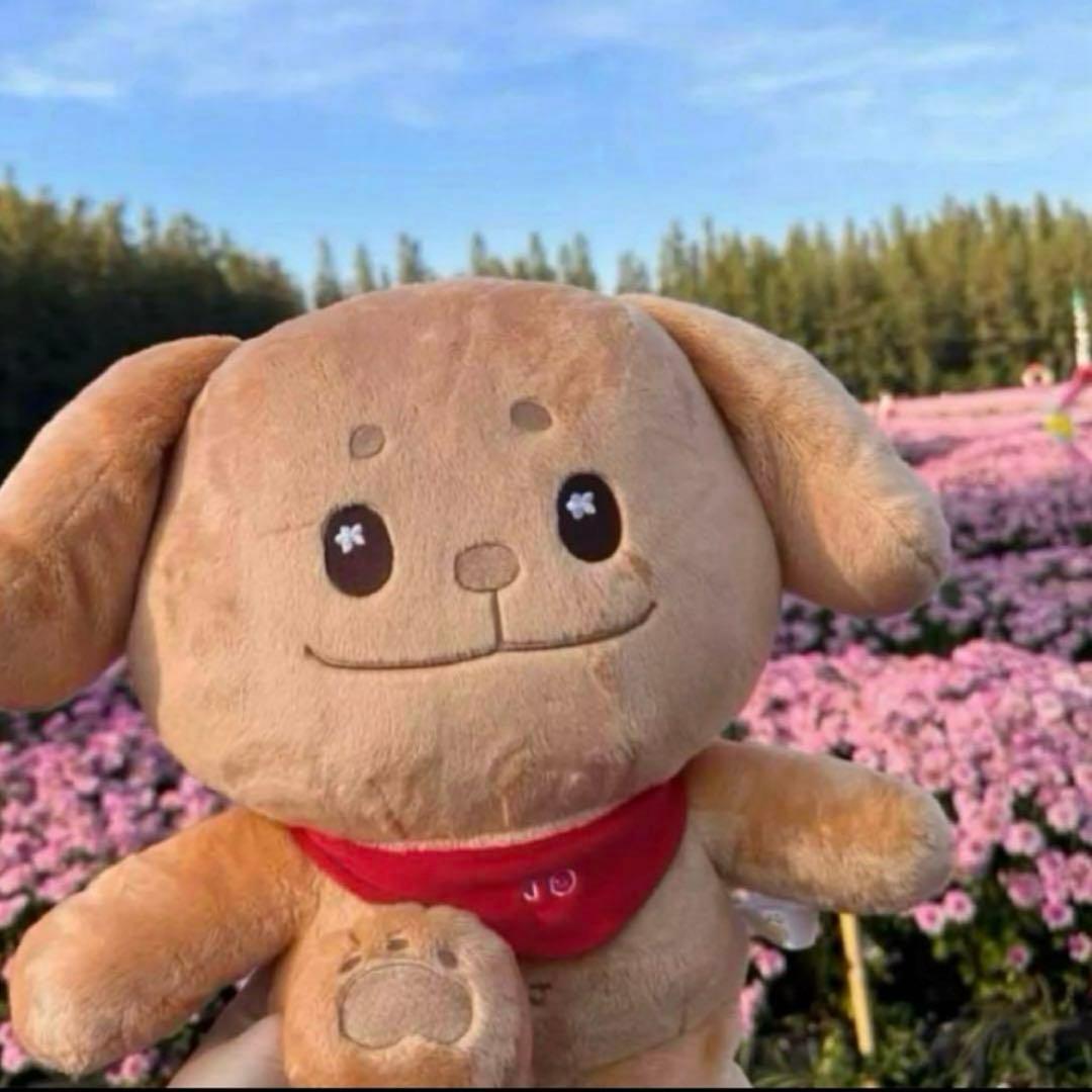 c*o様 enhypen ジェイク　40cm ぬいぐるみ　新品　マスター