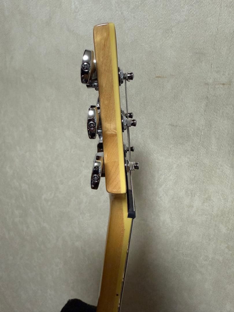 ギター PRS(Paul Reed Smith) SE Custom24 QM LTD