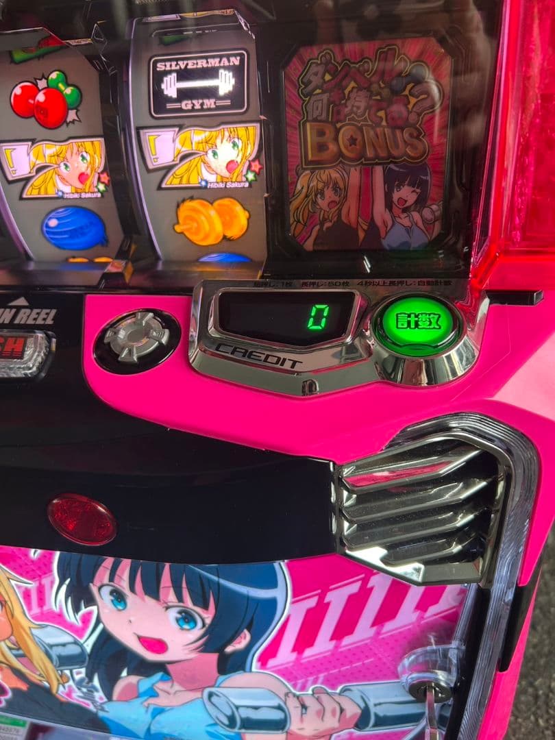 家庭用改造済み　スマスロ　Lダンベル何キロ持てる？X 送料込み