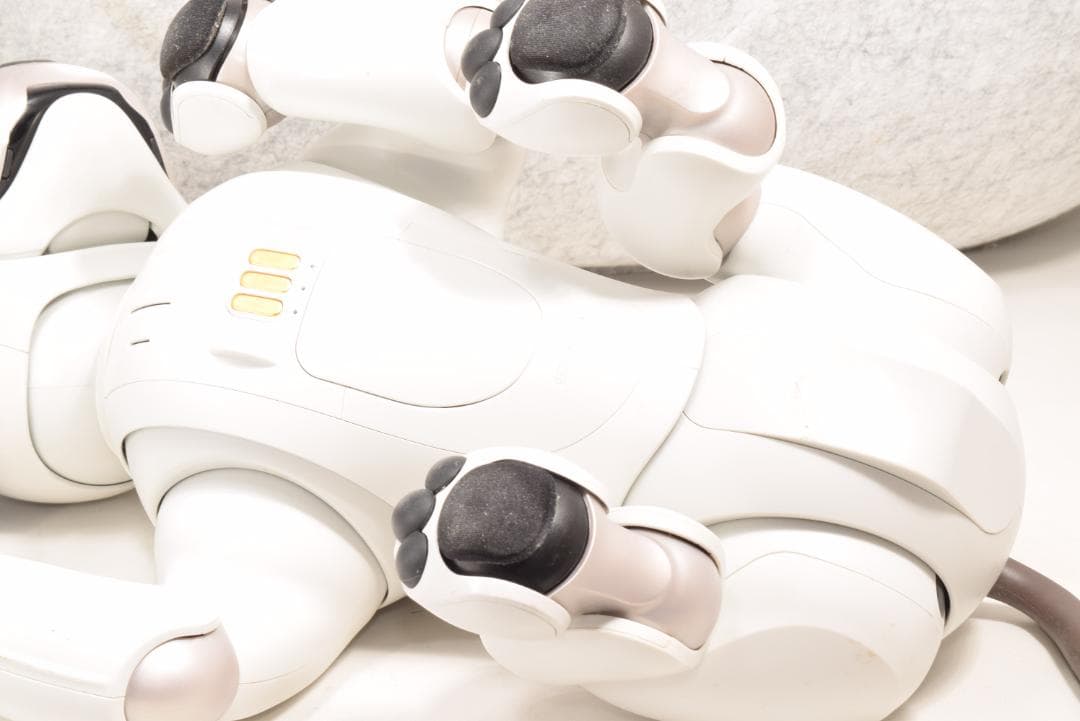 ソニー SONY アイボ ERS-1000 AIBO 犬型