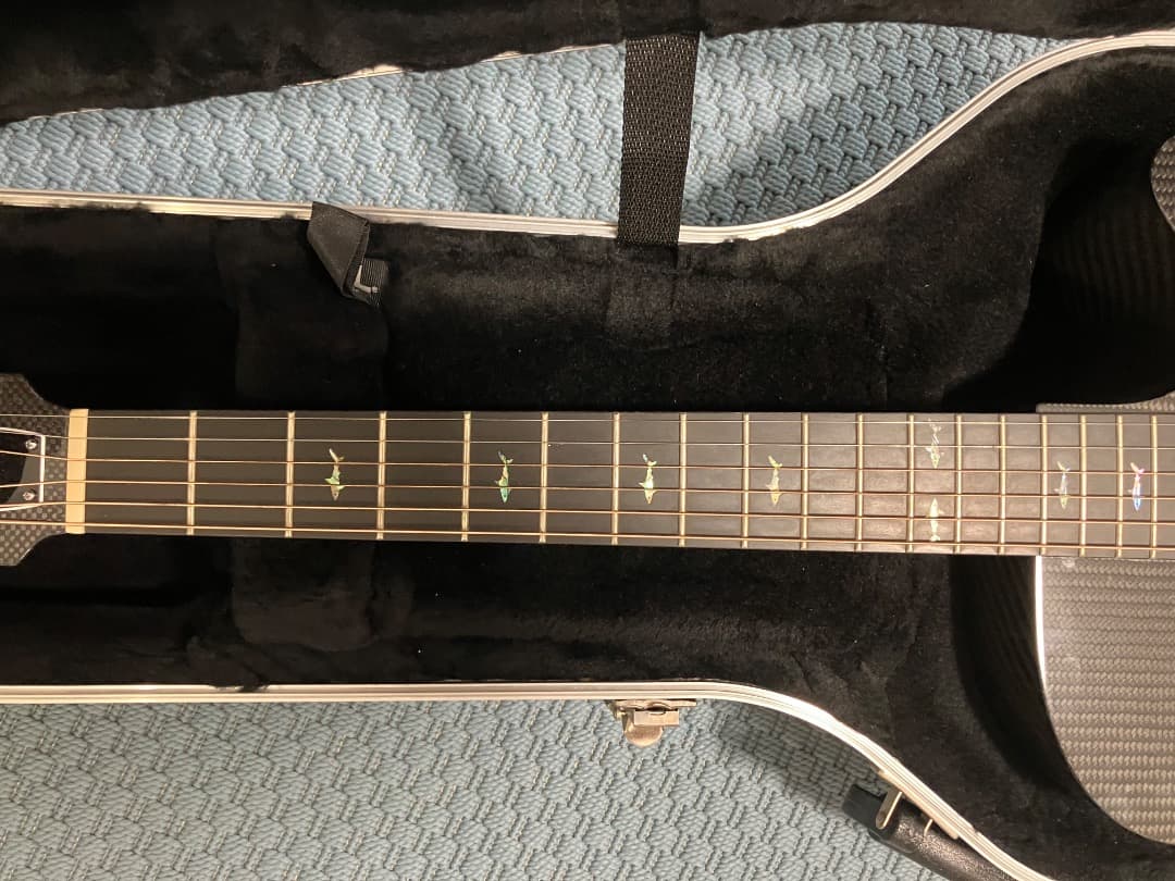 T*r様 RainSong WS1000N2 カーボンファイバー 　 ハードケー