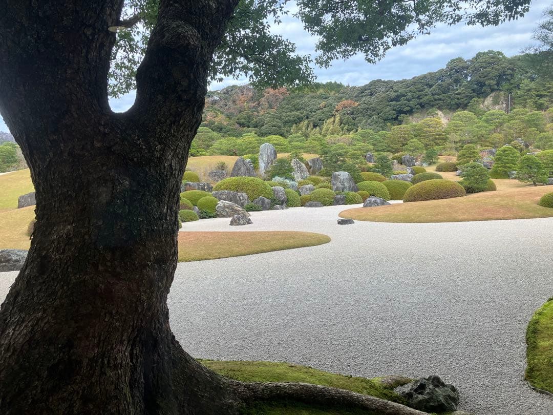 piiko6280さん専用ページです。