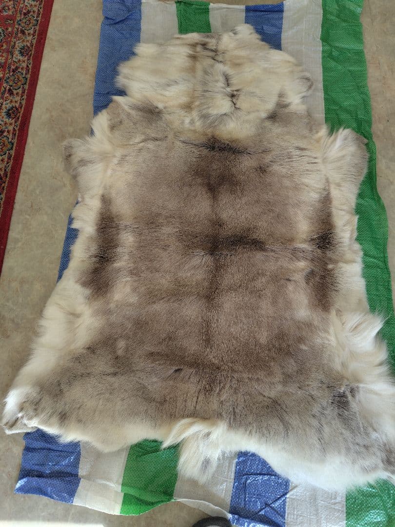 ダーラムトナカイファーL