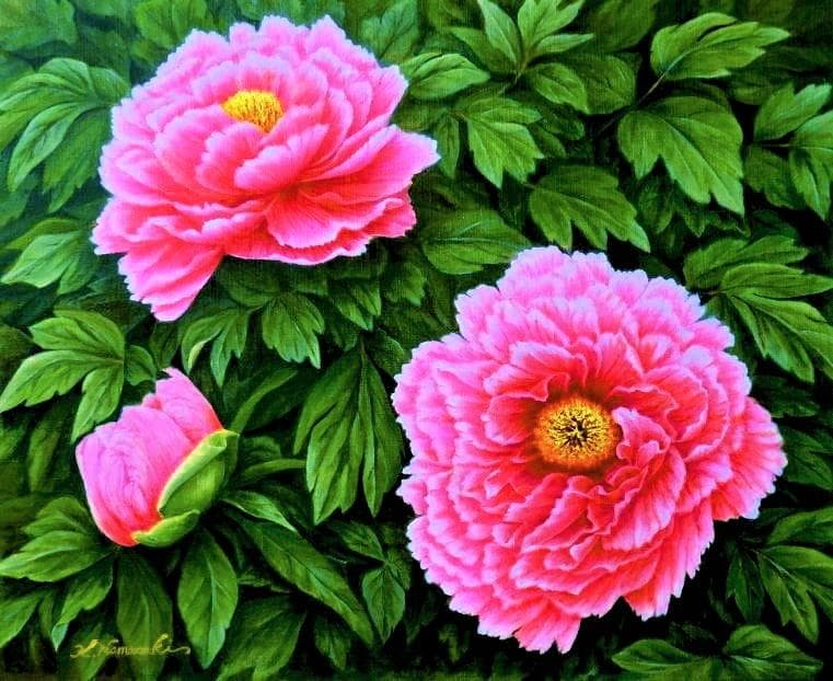 「牡丹」絵画 油彩画 油絵 植物画F12号 原画