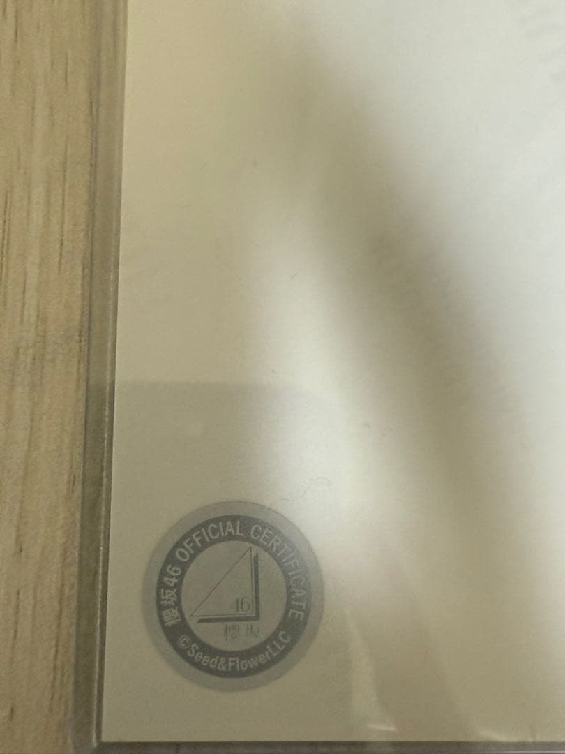 櫻坂46 山崎天　2024サンタ衣装　ヨリ　直筆サイン　生写真