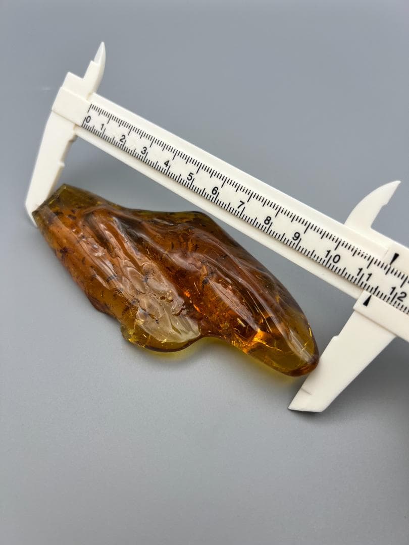 虫入り琥珀　蚊　蟻　多種多様な虫を大量内包　バルティックアンバー　バルト海沿岸