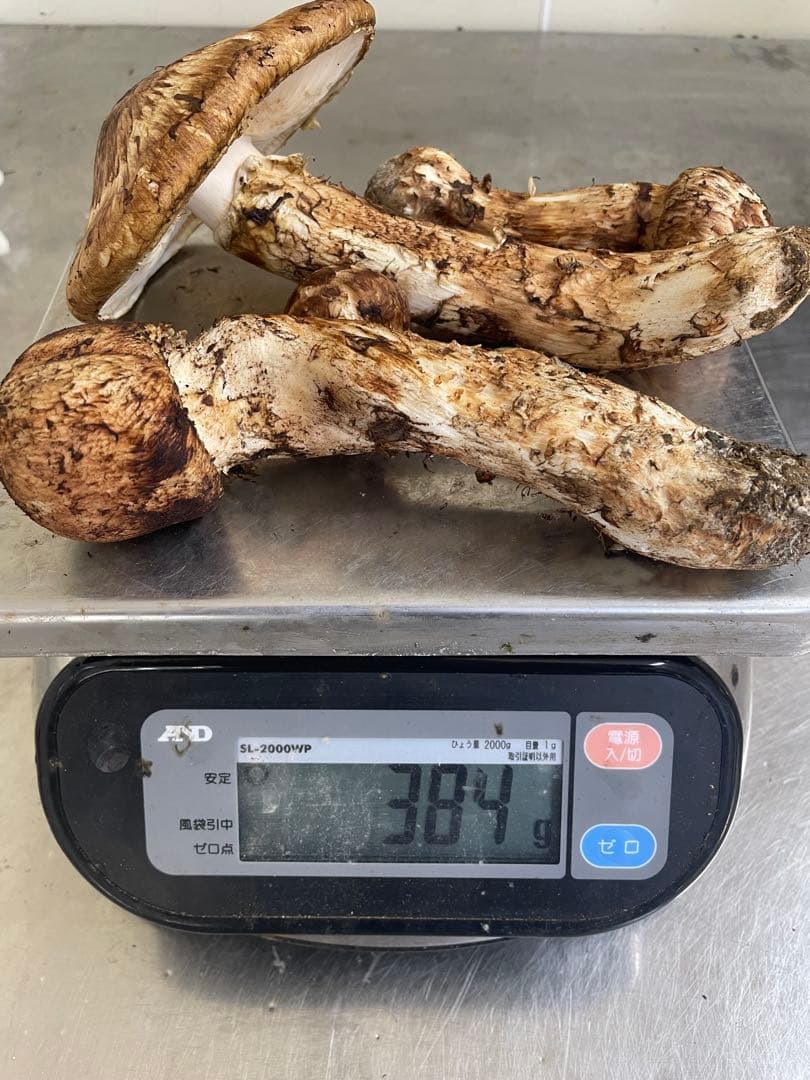 送料無料　岩手県産松茸　384g