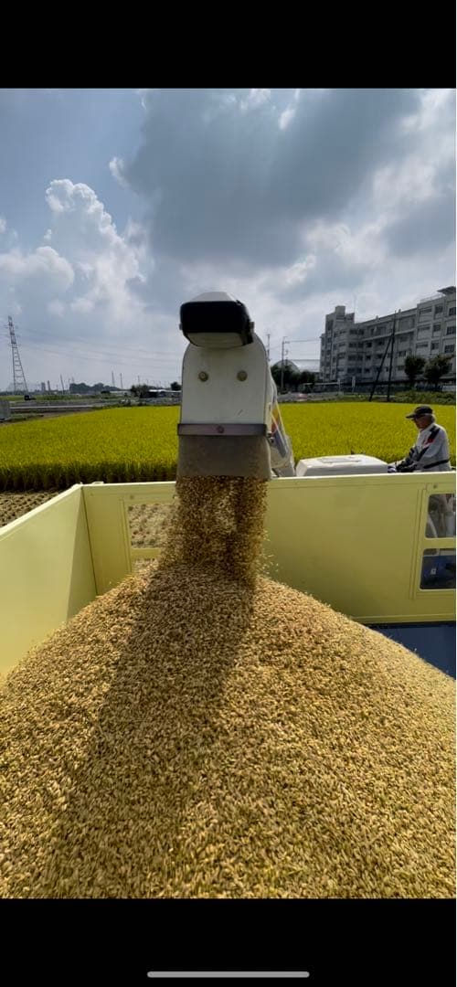 令和7年産　玄米10キロ 彩のきずな　一等米　埼玉県熊谷産　専業農家　白米も可能