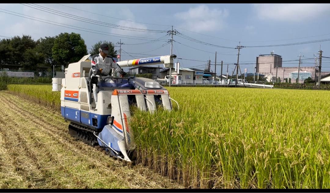 令和7年産　玄米10キロ 彩のきずな　一等米　埼玉県熊谷産　専業農家　白米も可能