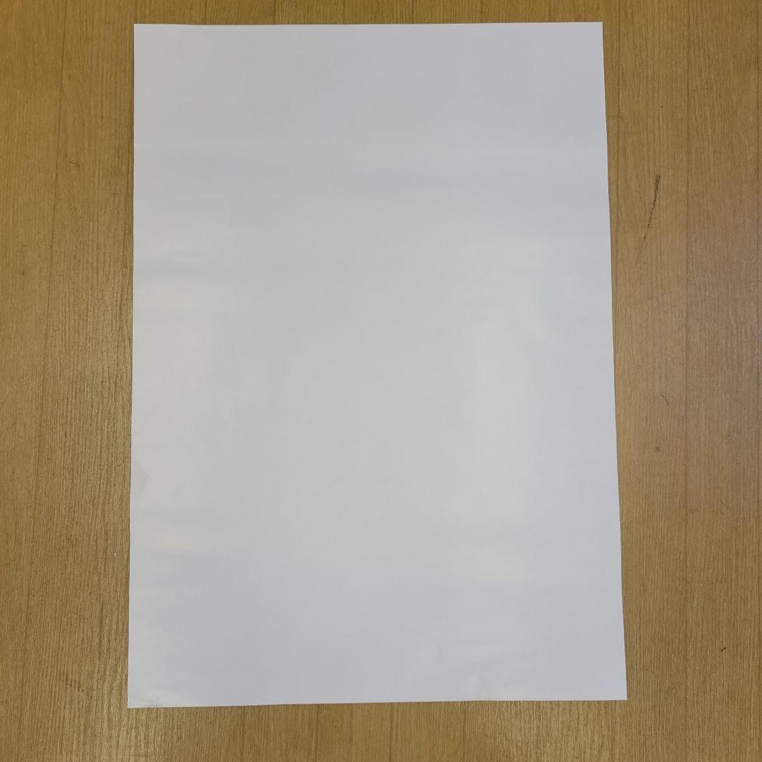 【非売品】ドンキーコング バナンザ Switch2 B2サイズポスター2枚セット