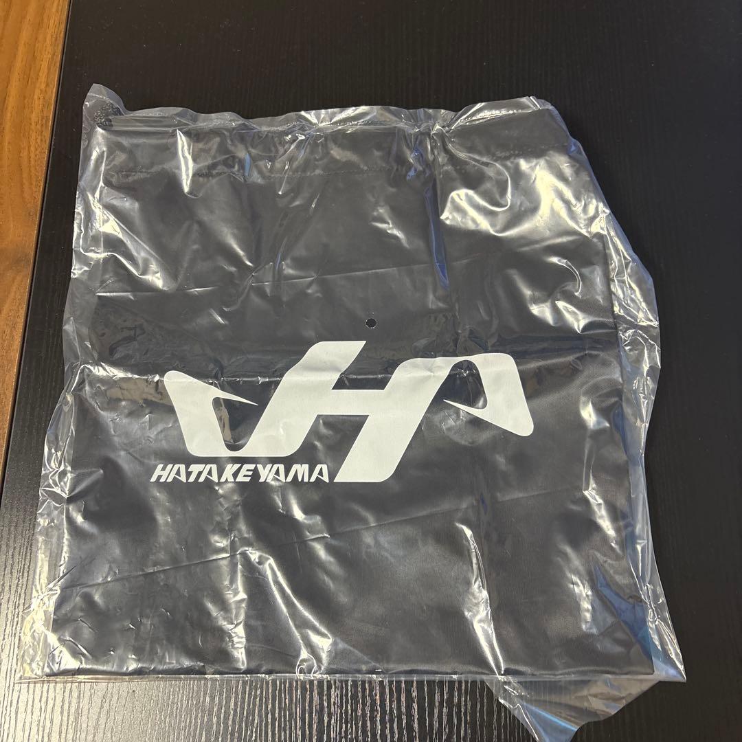 ハタケヤマ 硬式ミット