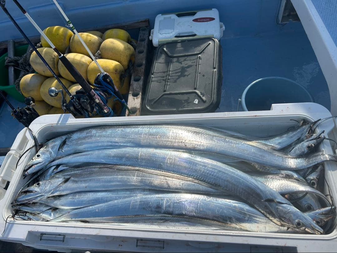 【お値下げしました】ダイワ 極鋭 タチウオテンヤ SP82-182 AGS