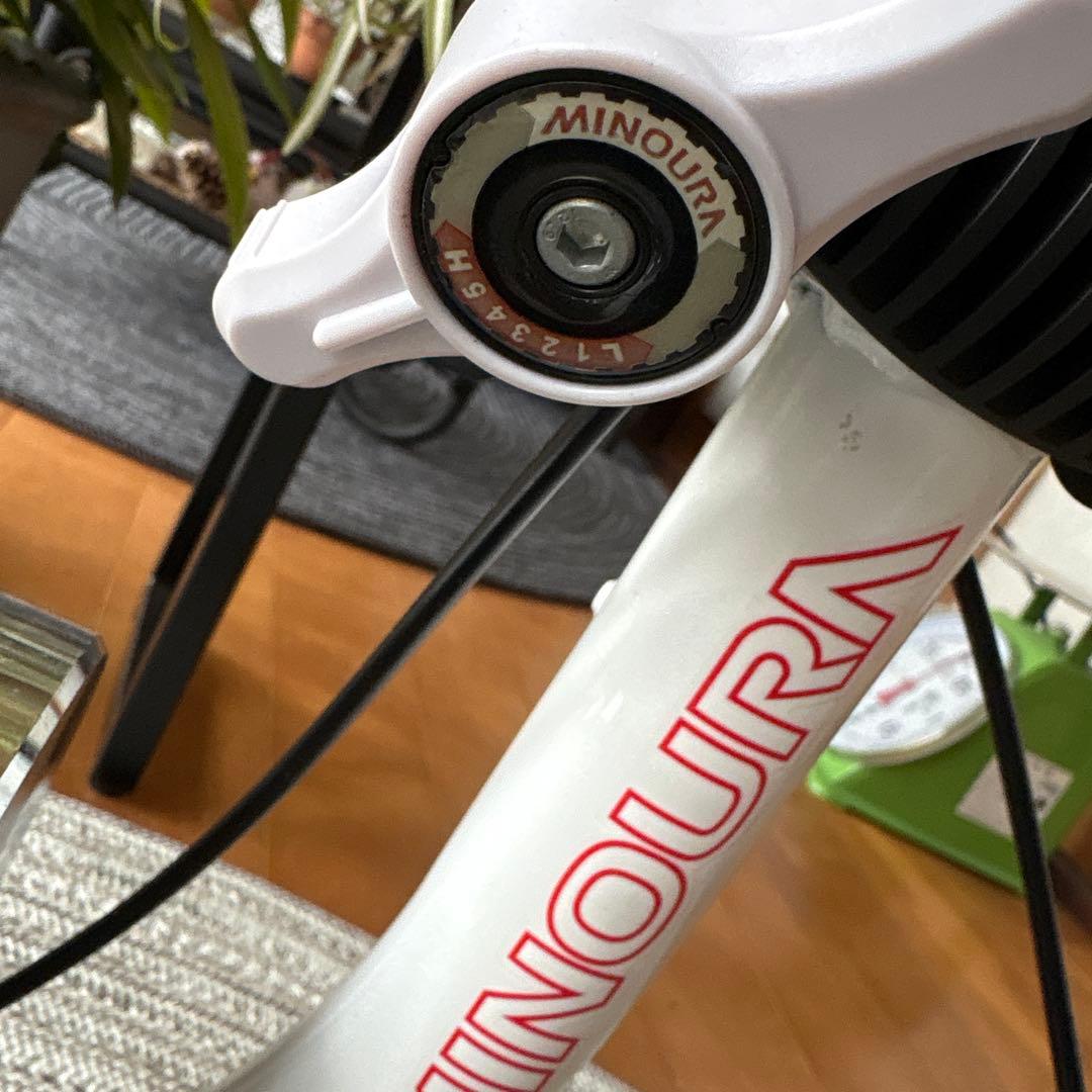 MINOURA ミノウラ LR241 マグライザー