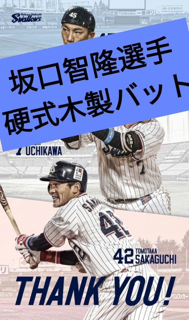 【プレミア】坂口智隆 DESCENTE 硬式木製バット 84.5cm 856g