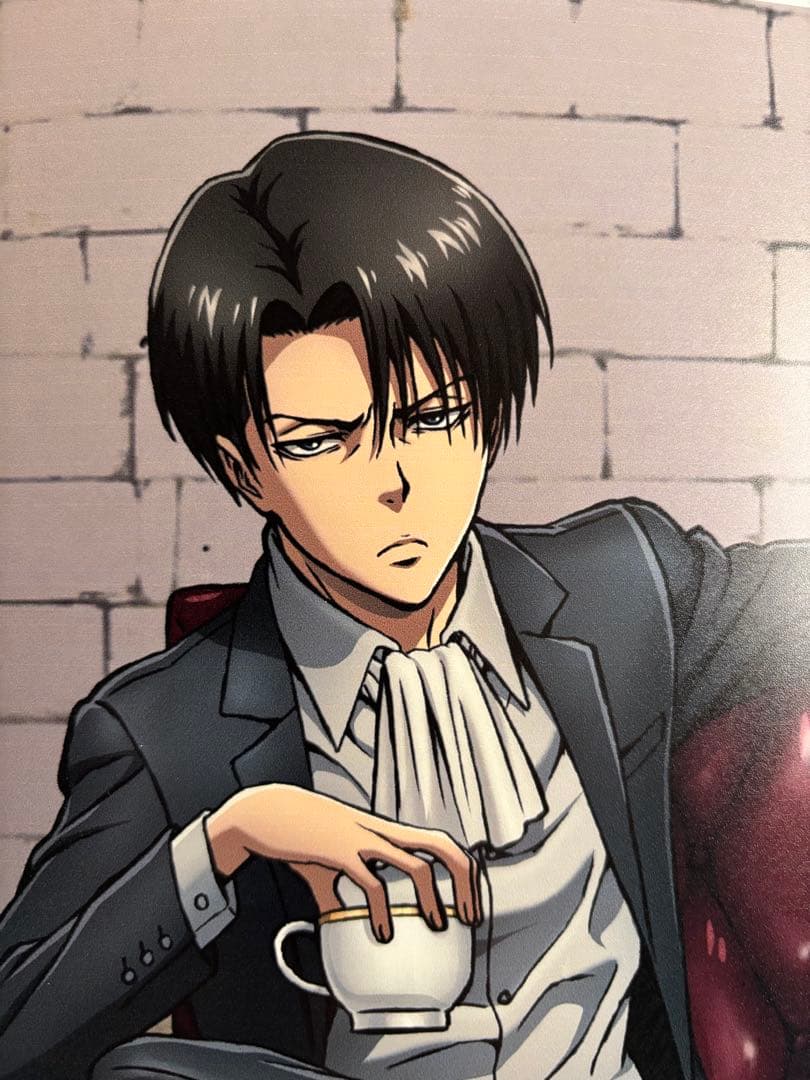 進撃の巨人 リヴァイ パネル