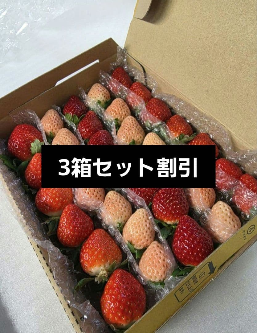 いちご　苺　イチゴ　減農薬　お得
