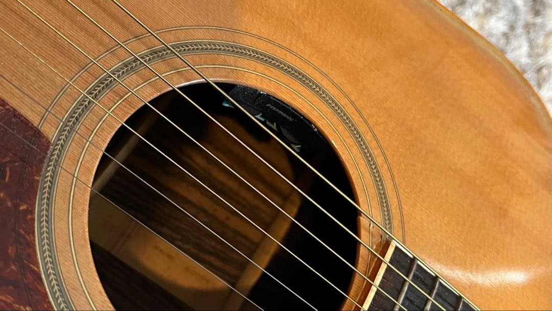 松岡良治　GR-50 エレアコ仕様