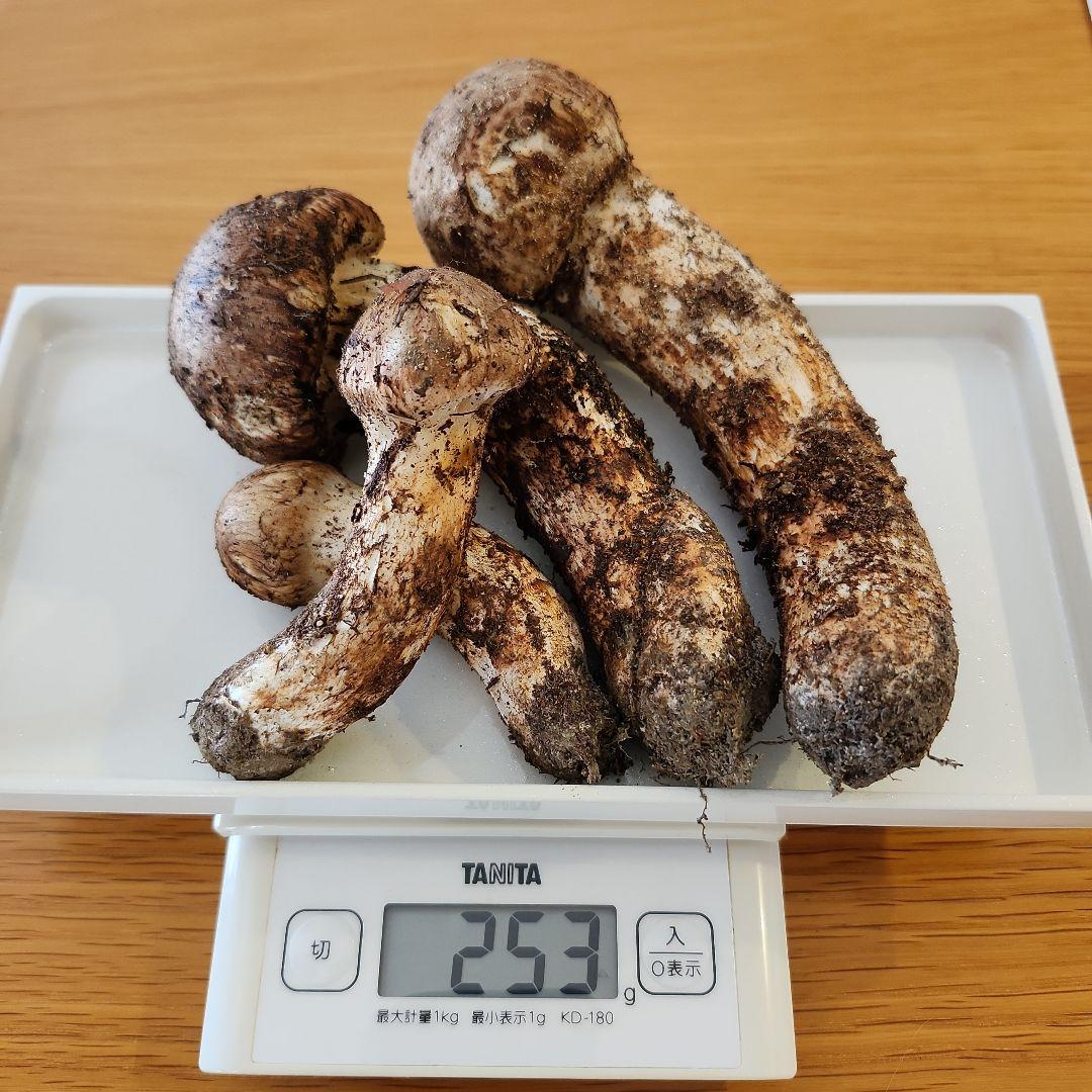 10/17朝採れ　広島県産　松茸　253g