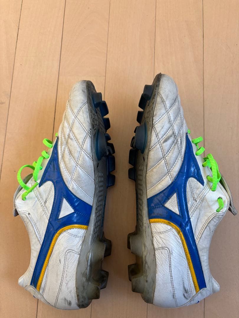 ウェーブカップ