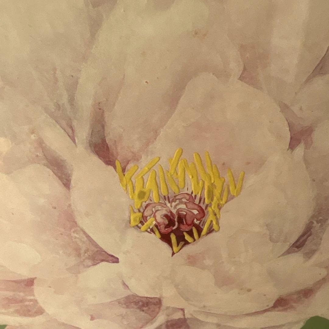 絵画　牡丹　　⚠️素人画