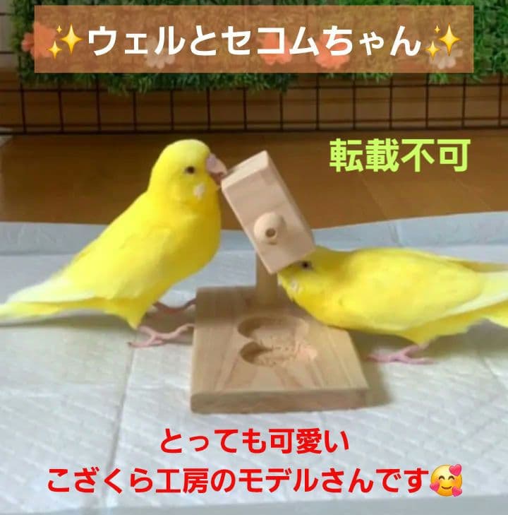 くるくる3点、吊り下げフォージングトイ色々セット　バードトイ　インコ