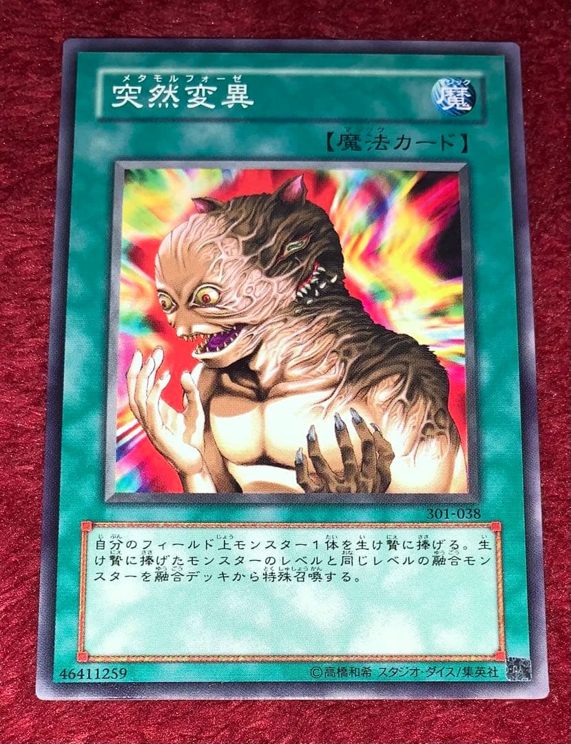 遊戯王　本格構築ラーの翼神竜デッキ40枚＋E X15枚+α