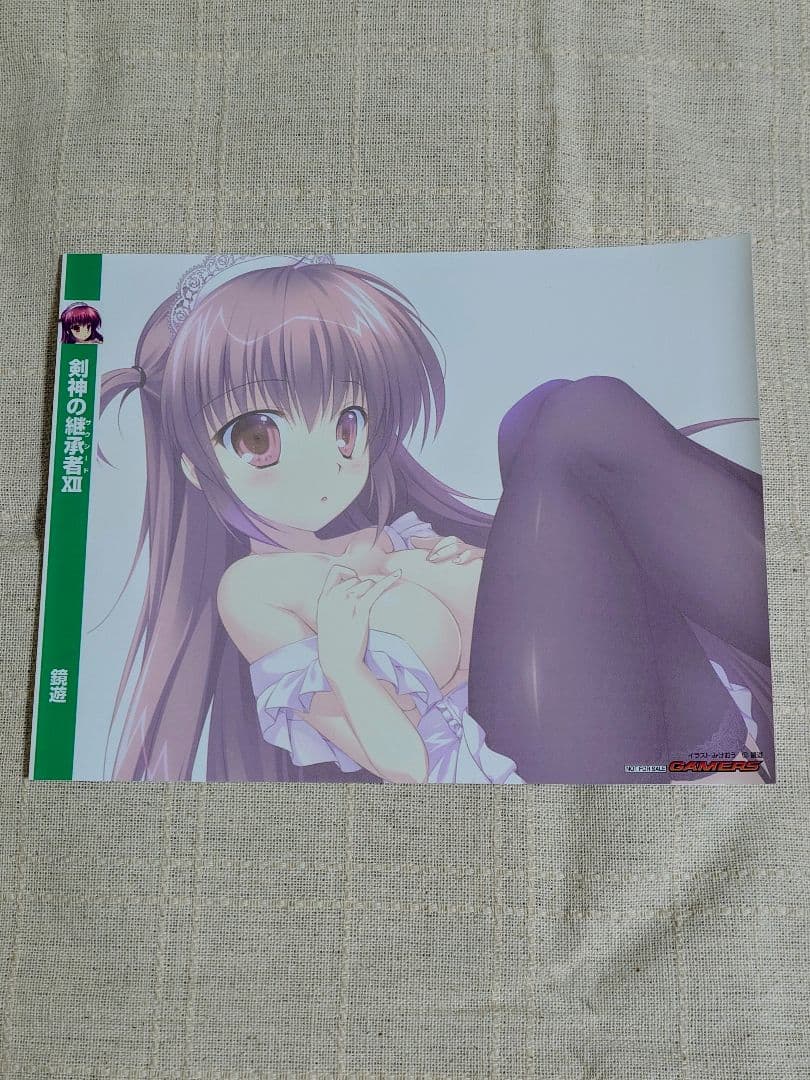 剣神の継承者　特典ブックカバー　11枚セット