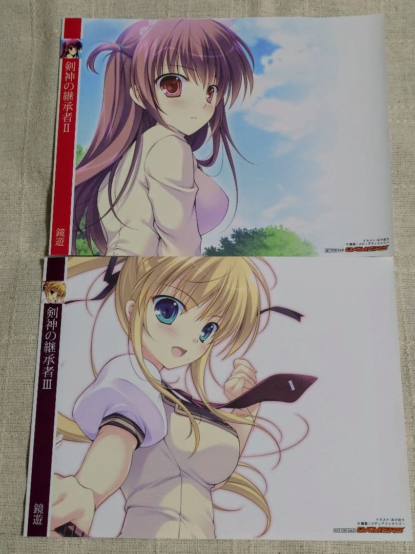 剣神の継承者　特典ブックカバー　11枚セット