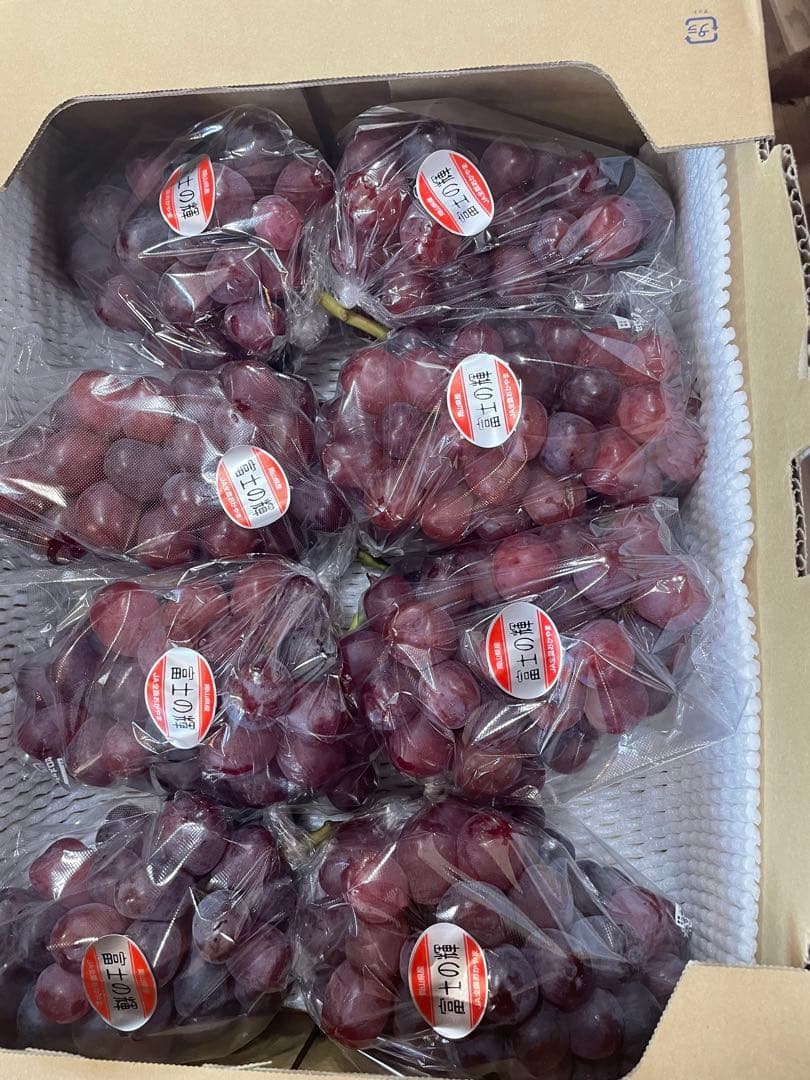 ⑨【岡山県産】富士の輝　約5キロ