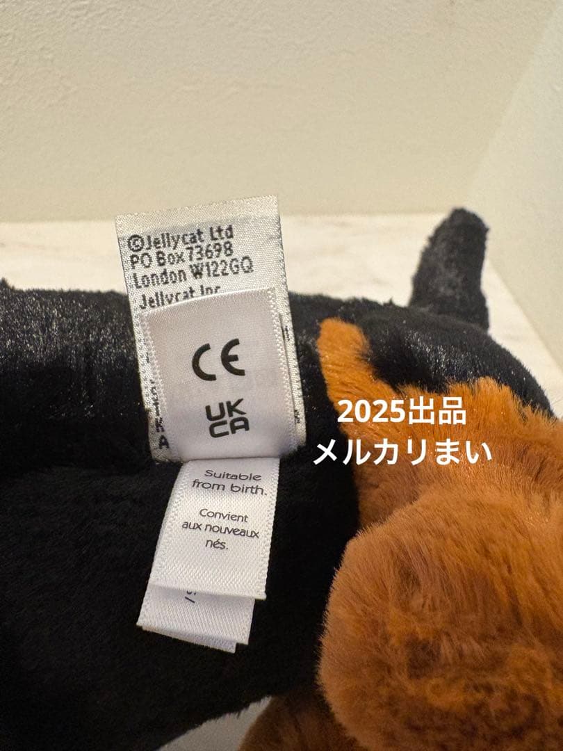  Freddie Sausage Dog ダックスフンド　犬