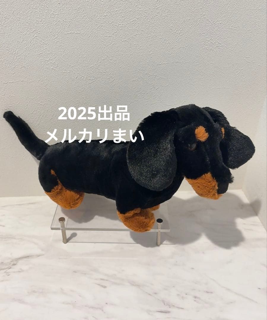  Freddie Sausage Dog ダックスフンド　犬