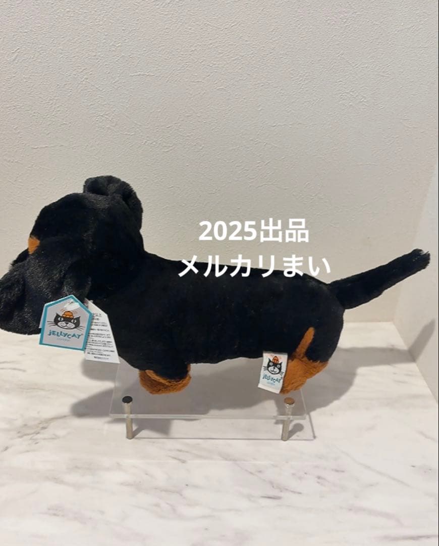  Freddie Sausage Dog ダックスフンド　犬