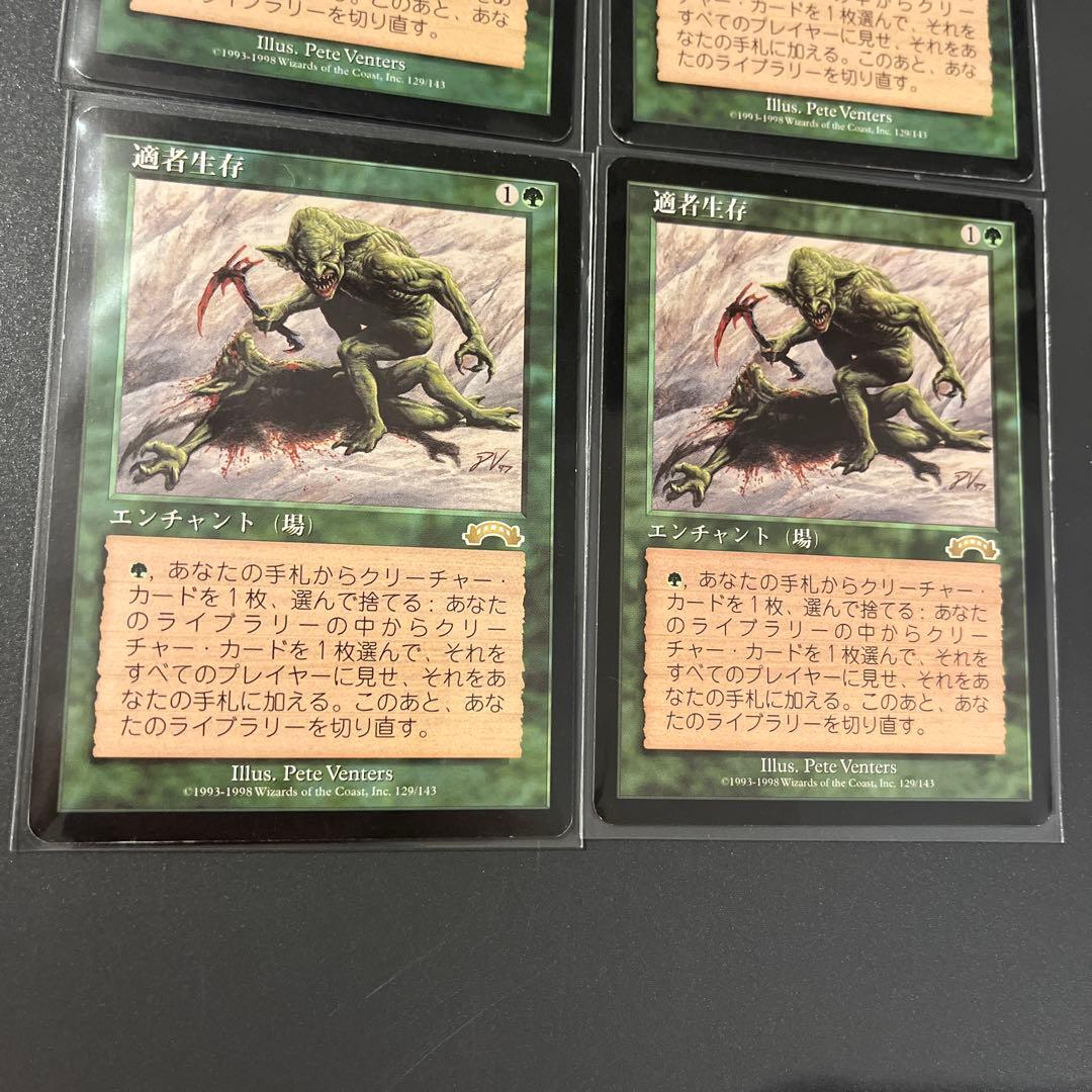 適者生存 4枚セット 日本語