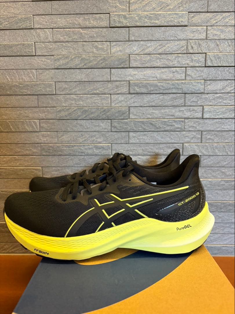 アシックス(asics) GT-2000 12