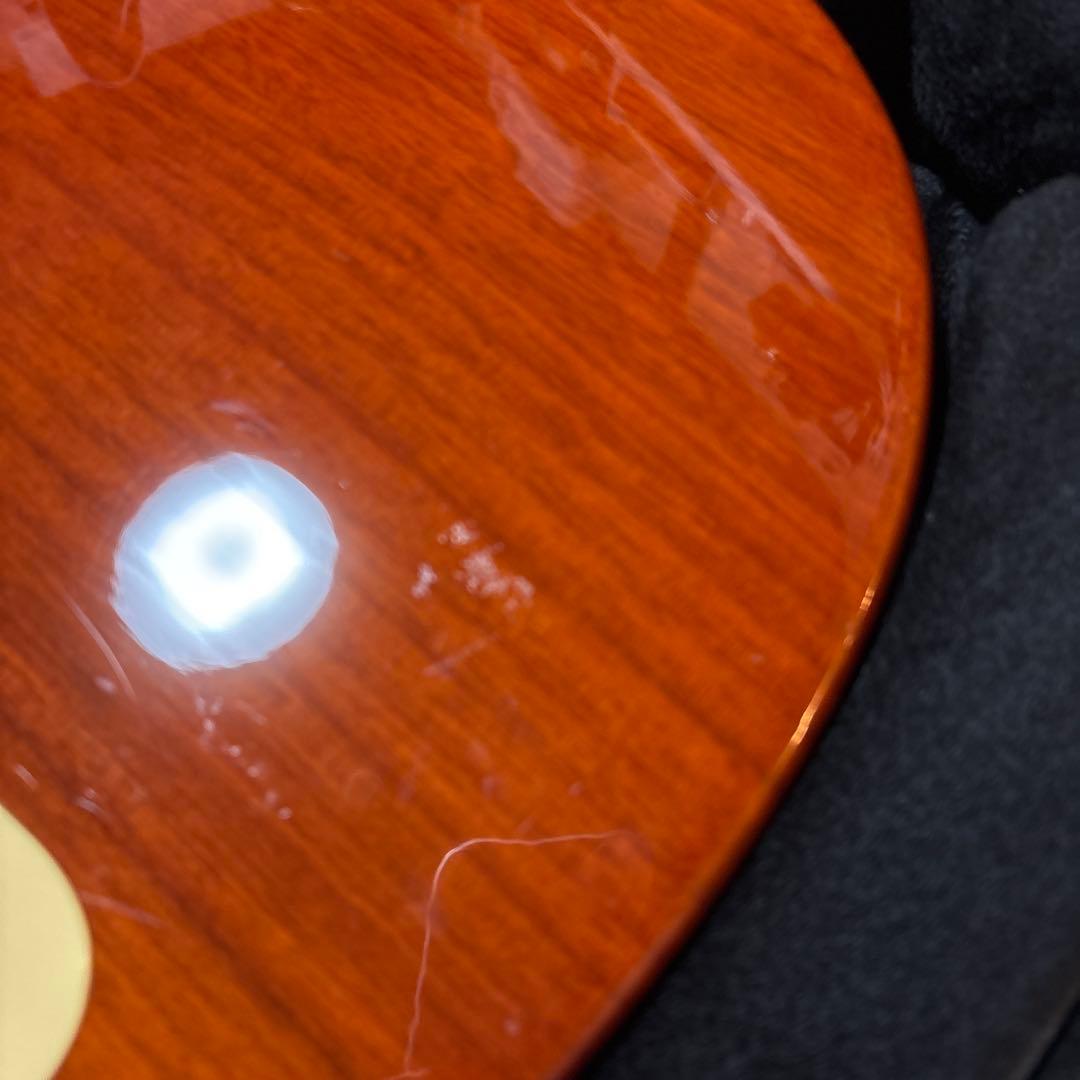 Grass Roots Limited Model レスポール