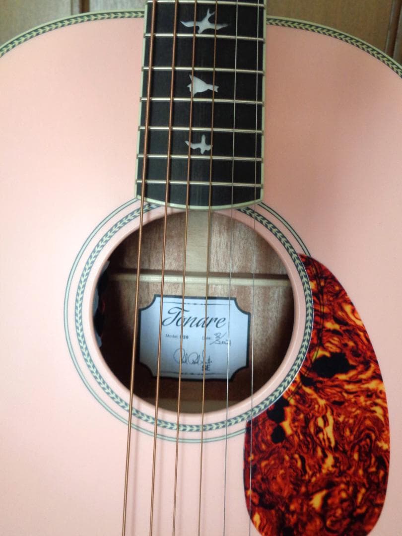 PRS SE P20E エレアコ　超美品！ Paul Reed Smith