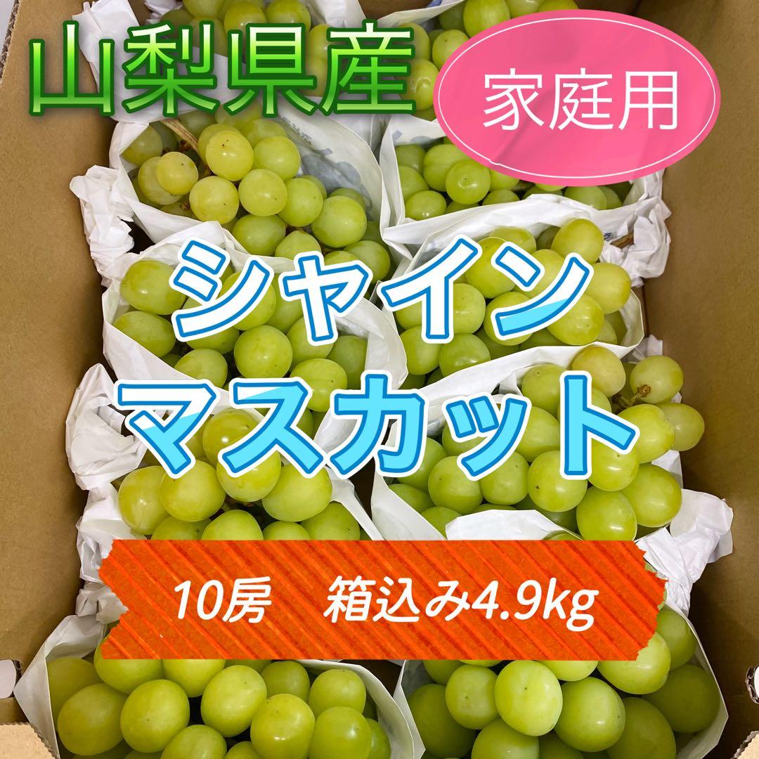 山梨県産　訳あり　家庭用　シャインマスカット　10房　箱込み4.9kg ①