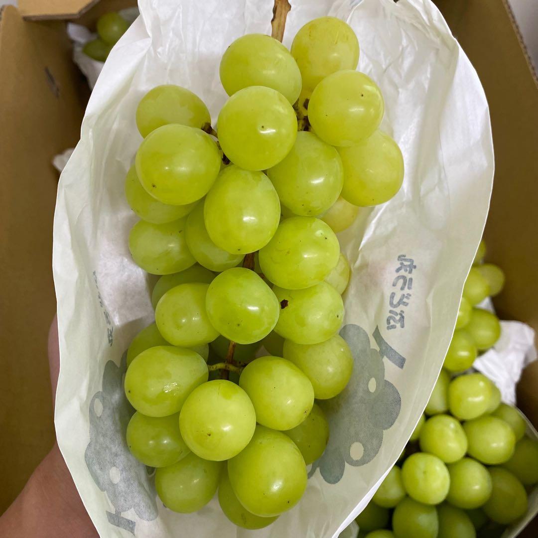 山梨県産　訳あり　家庭用　シャインマスカット　10房　箱込み4.9kg ①