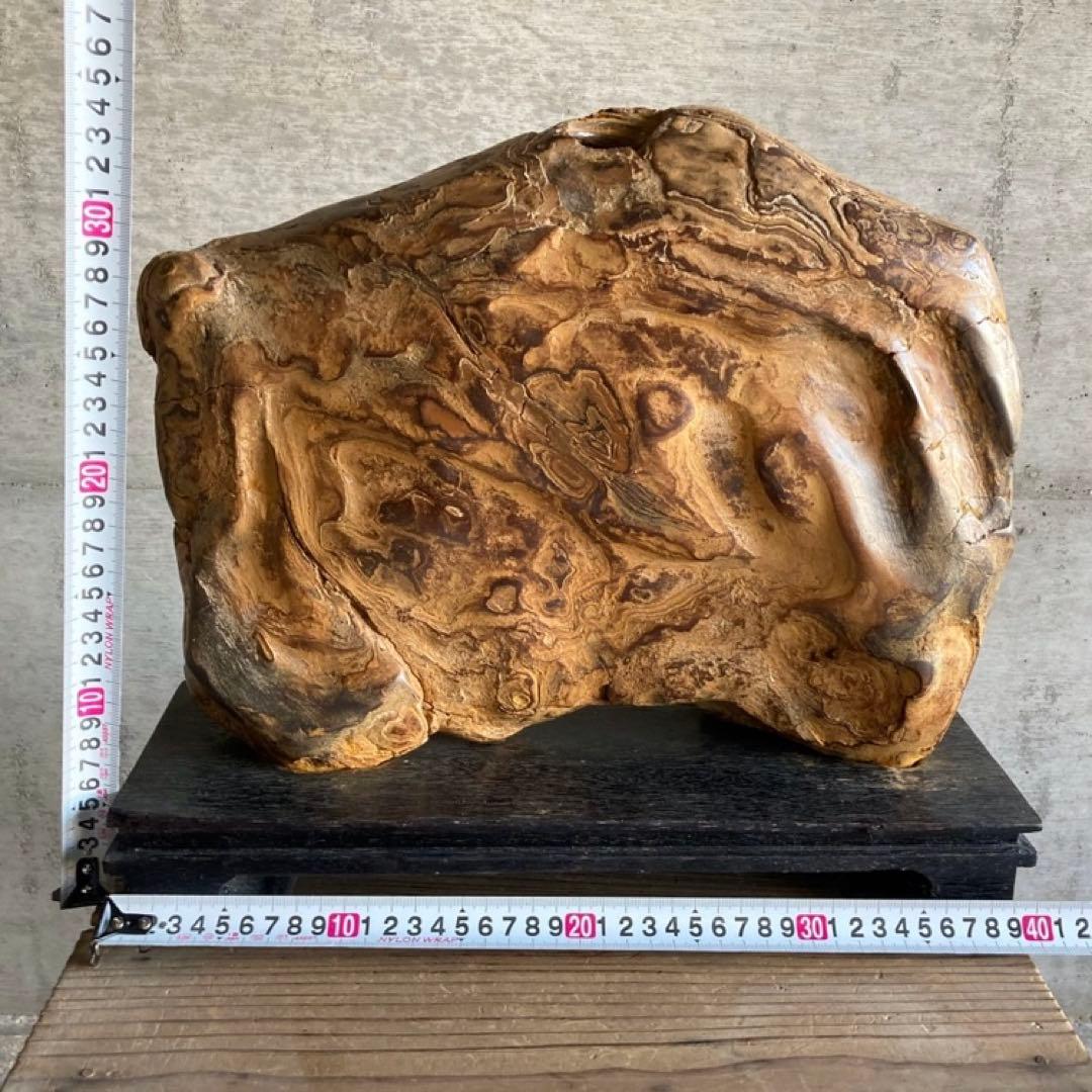 木化石 珪化木 天然 大型 置物 オブジェ 花器 フラワーベース 台座付 レトロ