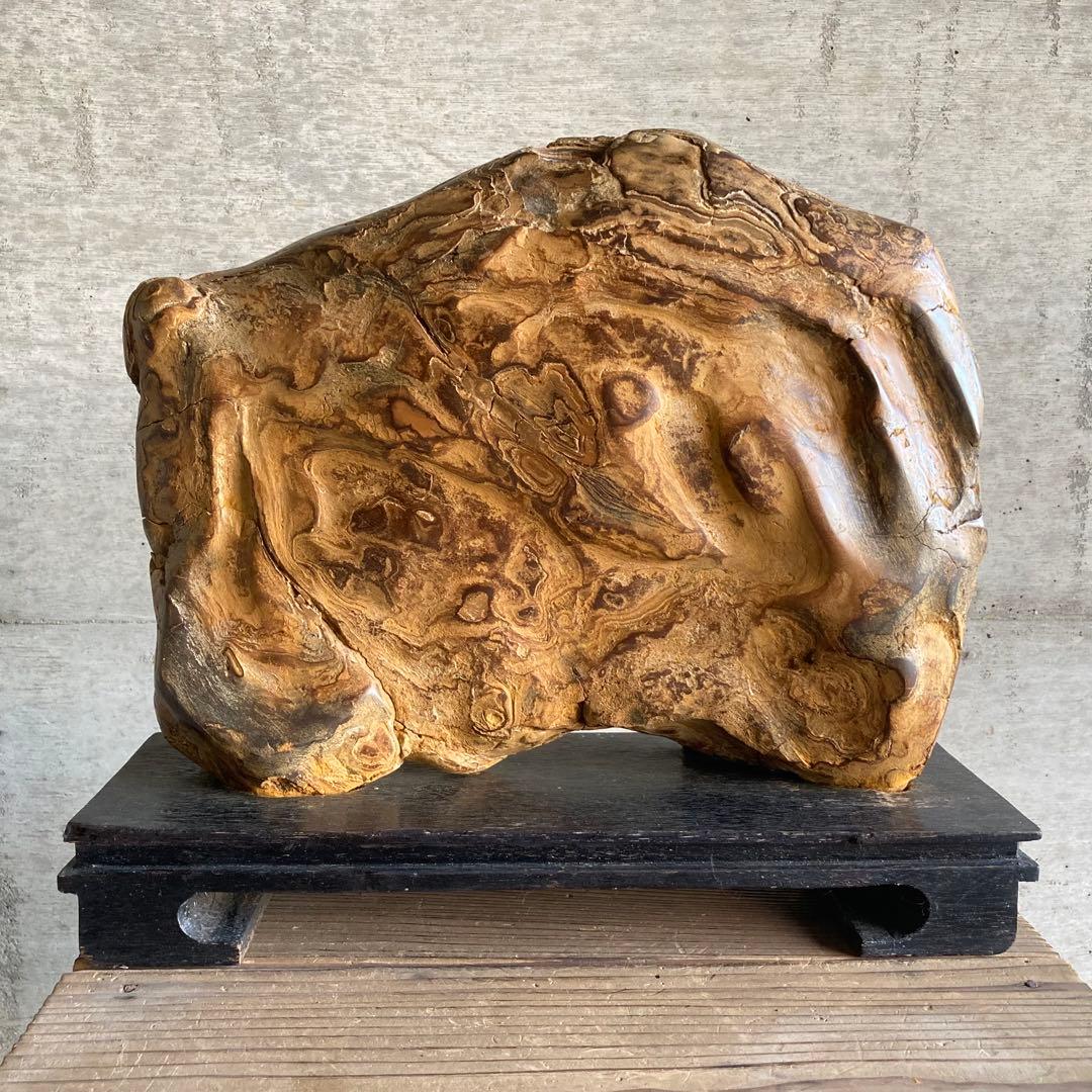 木化石 珪化木 天然 大型 置物 オブジェ 花器 フラワーベース 台座付 レトロ