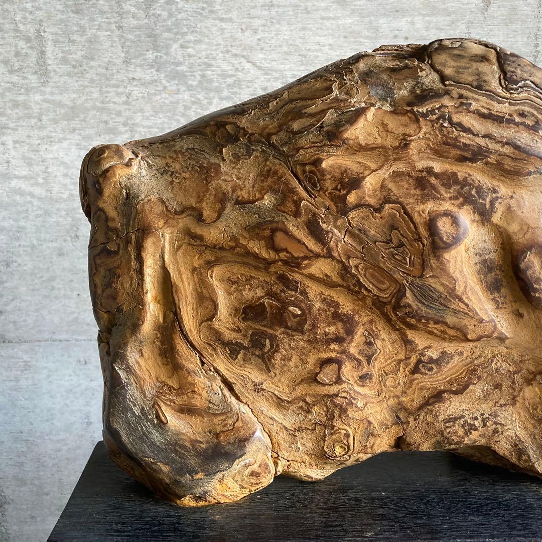 木化石 珪化木 天然 大型 置物 オブジェ 花器 フラワーベース 台座付 レトロ