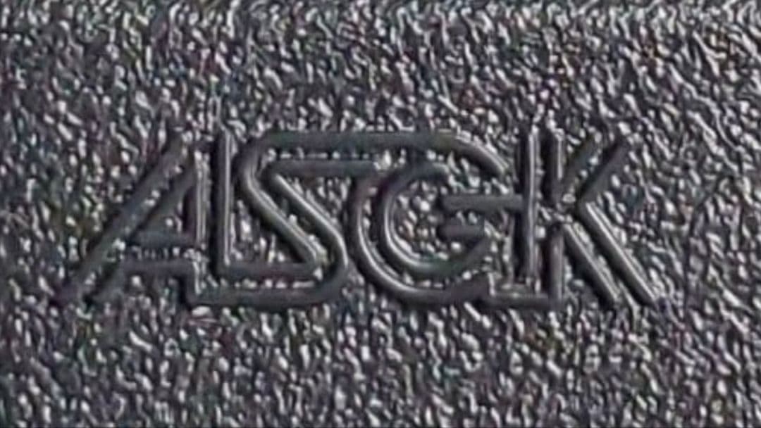 東京マルイ　G36C　電動ガンボーイズ　GSG9　カスタム　改修品　10禁