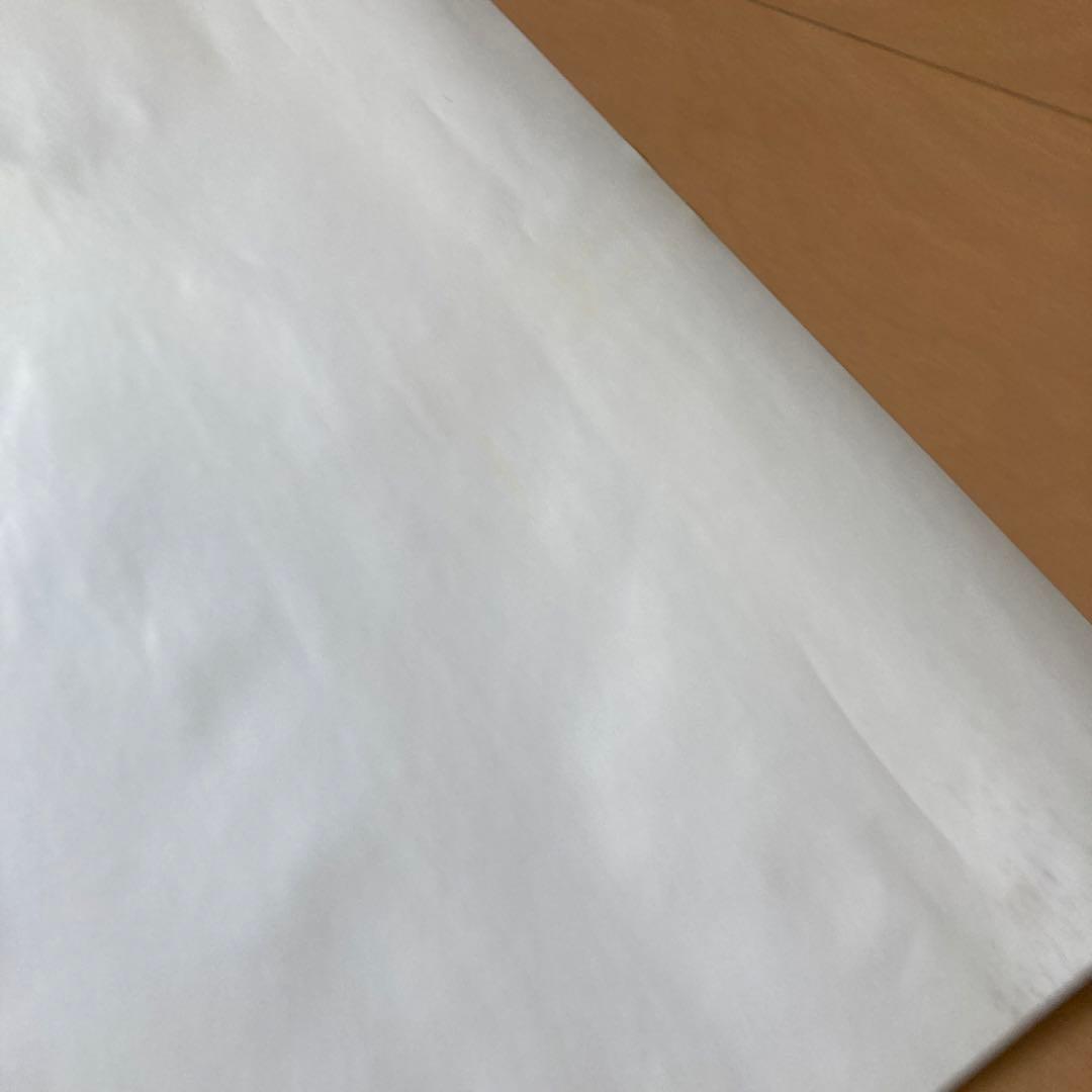 【即購入ok!!】安室奈美恵 『genic』タワレコ 購入特典ポスター